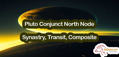 north node conjunct pluto|north node conjunct pluto meaning.